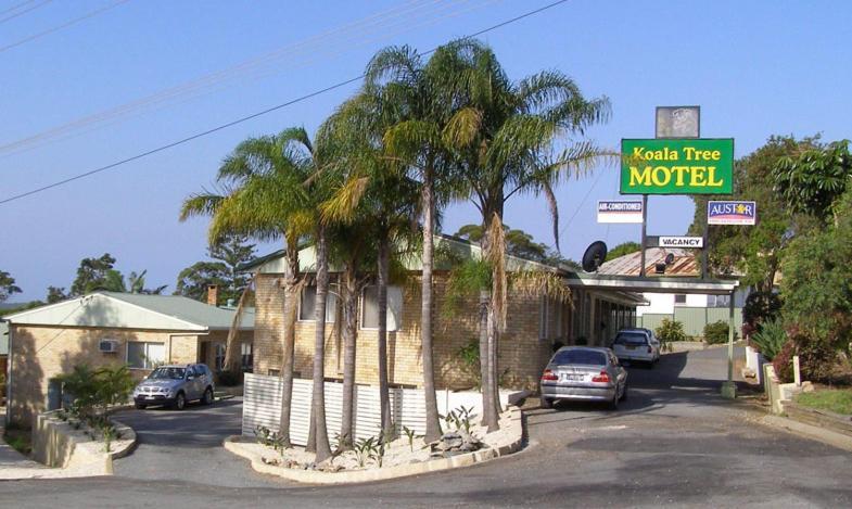 Koala Tree Motel Порт Макари Екстериор снимка